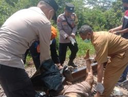 Pria Paruh Baya Diduga Tewas Usai Tertemper Babaranjang