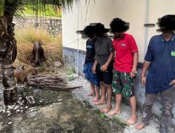 Curi Sapi dan Kambing Pakai Avanza, 4 Pelaku Dibekuk Polres